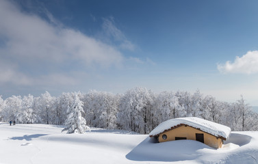 Fototapeta na wymiar Les Vosges en hiver