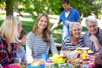 Family and friends having a picnic with barbecue