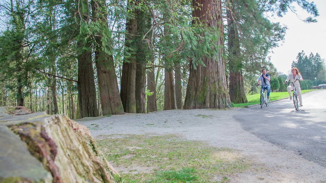 Coupel cycling among the big trees