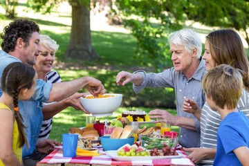 Family having a picnic