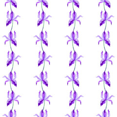 Iris flower, seamless vector pattern. hand drawn watercolor illustration.