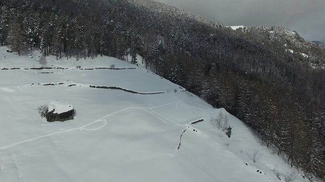 Sorvolo foresta e prati innevati - Inverno in Valmalenco