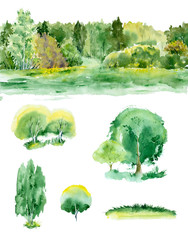 Watercolor painting. Forest and set trees on a white background. - 105039663