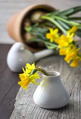 Dekokissen Narzissen in einer Vase auf dem Tisch © CeHa