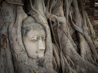 Ancient ruin and buddha statue in Mahathat temple of Thailand.