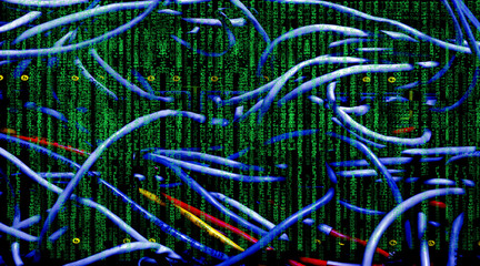 Display computer server connections flashing