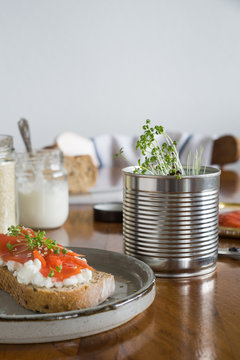 Garden cress grown in recycled tin at home and used to prepare the salmon sandwich