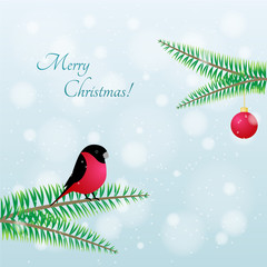 Fototapeta na wymiar Christmas Bird. Vector Bullfinch on branch 
