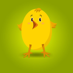 Little yellow chick on green background