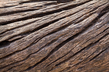 Brown old wood pattern texture background.