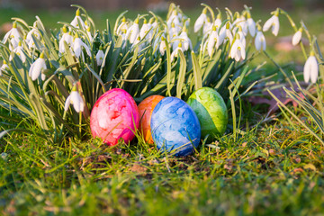 Osternest Schneeglöckchen