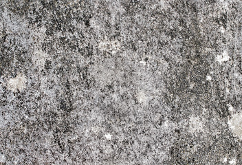 white concrete wall texture