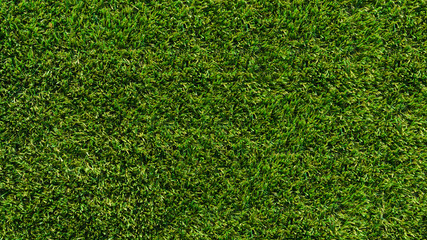 Obraz premium Artificial Grass Field Top View Texture.