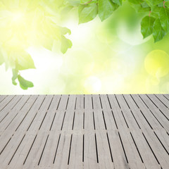 green  leaves at sunny day