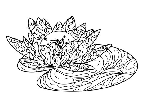 Lotus flower coloring book for adults vector