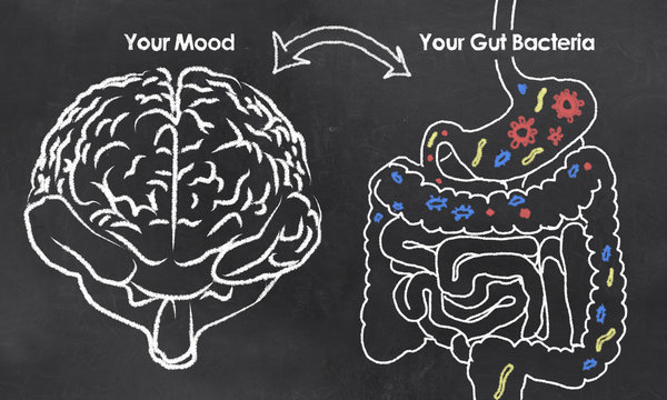 Mood and Gut Bacteria