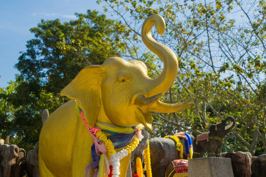 Elephants at the Phuket lighthouse temple