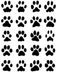 Black print of cats paws on white background, vector