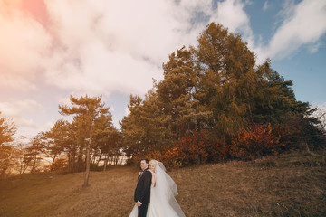 Fototapeta premium wedding day HD