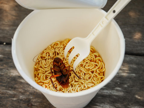 Cockroach dead in noodle cup