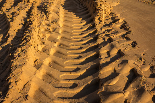 Embossed Trail Excavator Tracks On The Wet Sand.