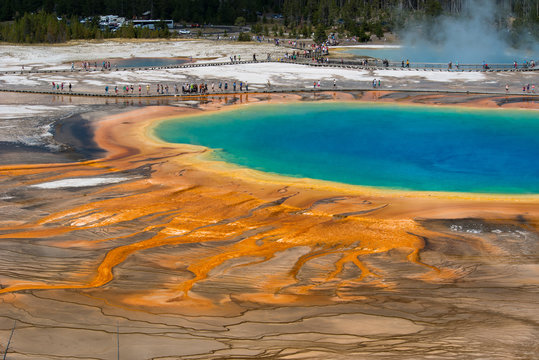 Grand Prismatic Spring detail, Yellowstone National Park, Wyoming