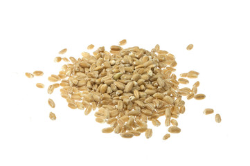 Pearl spelt