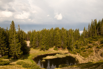 Obraz premium Lake in the forest