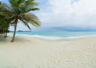 Obraz na płótnie Canvas Tropical beach with coconut trees