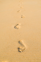 Fototapeta na wymiar beach, wave and footsteps
