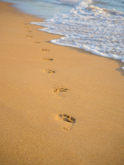 Fototapeta na wymiar Footsteps on the beach by the sea