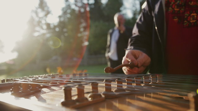 Ukrainian folk artist plays the traditional ukrainian folk music instrument on the wedding