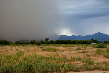 Fototapeta premium The leading edge of a dust storm (left) and heavy rain (right) falling over distant mountains in Phoenix, Arizona.
