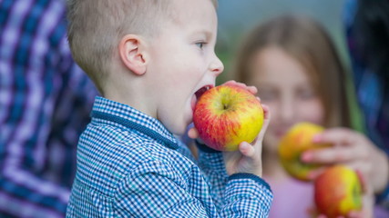 Giving the apple to the boy for eat