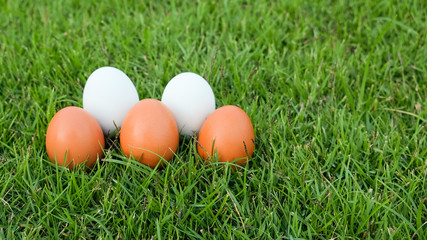 Fototapeta na wymiar Easter, eggs on the grass
