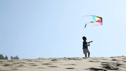 Young boy flying a kite
