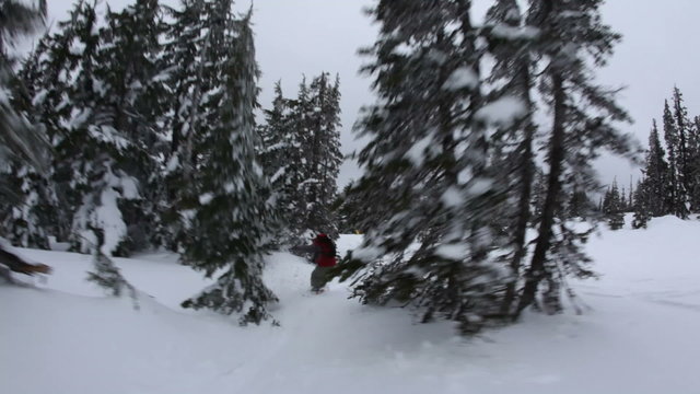 Snowboarder goes through trees