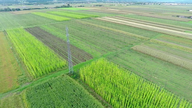 Fields in the nature
