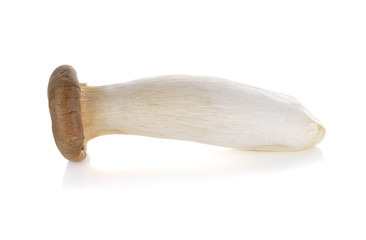 eryngii mushroom or King oyster mushroom on white background