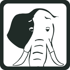 world wildlife day elephant head face