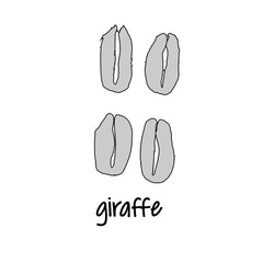 World wildlife day giraffe foot step