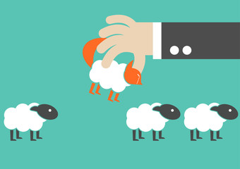 Business sham cheating. Wolf in sheep clothes fooling a sheep fl