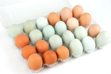different color chicken eggs in container