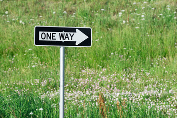 one way sign against green tree background