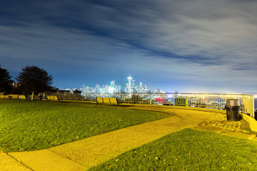 Obraz premium meadow with cityscape of seattle at night