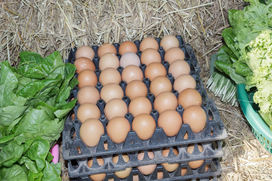 Eggs in container