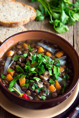 Vegetarian lentil soup (stew)