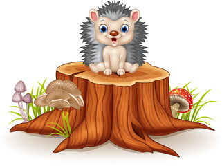 Cute baby hedgehog sitting on tree stump