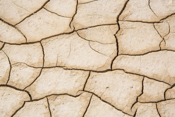 Mud Cracks close up in desert soil