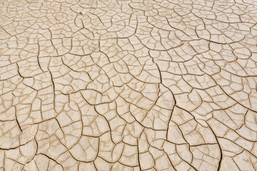 Mud Cracks close up in desert soil